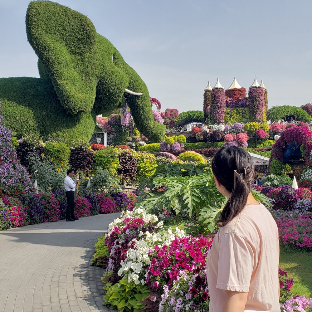 Meet your Posher, Maddy